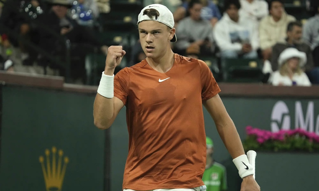 股东身份入 股东身份入