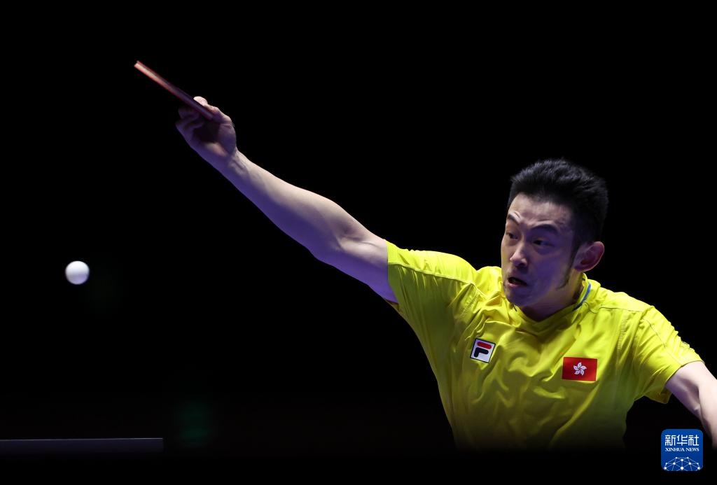 依靠稳固防 依靠稳固防