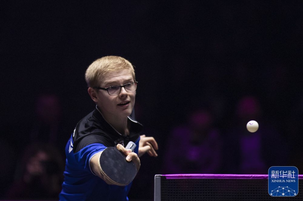 显示了他们 显示了他们