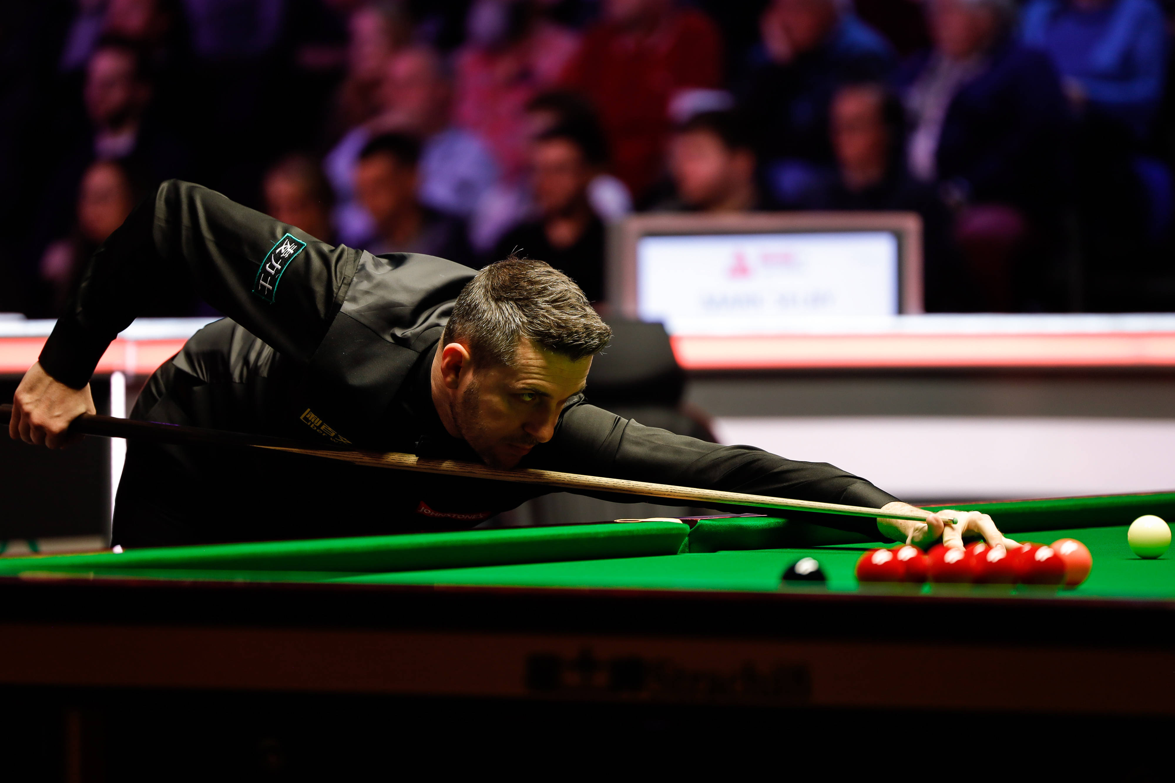 强的斗志和 强的斗志和